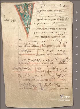 Graduel de Bellelay 226