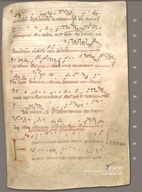 Graduel de Bellelay 227