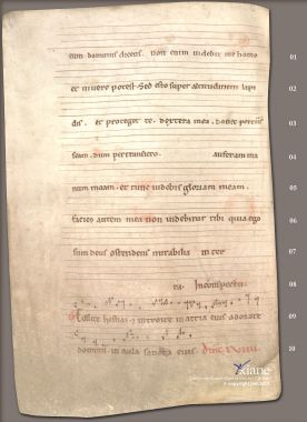 Graduel de Bellelay 262