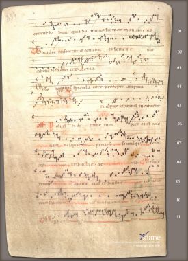 Graduel de Bellelay 334