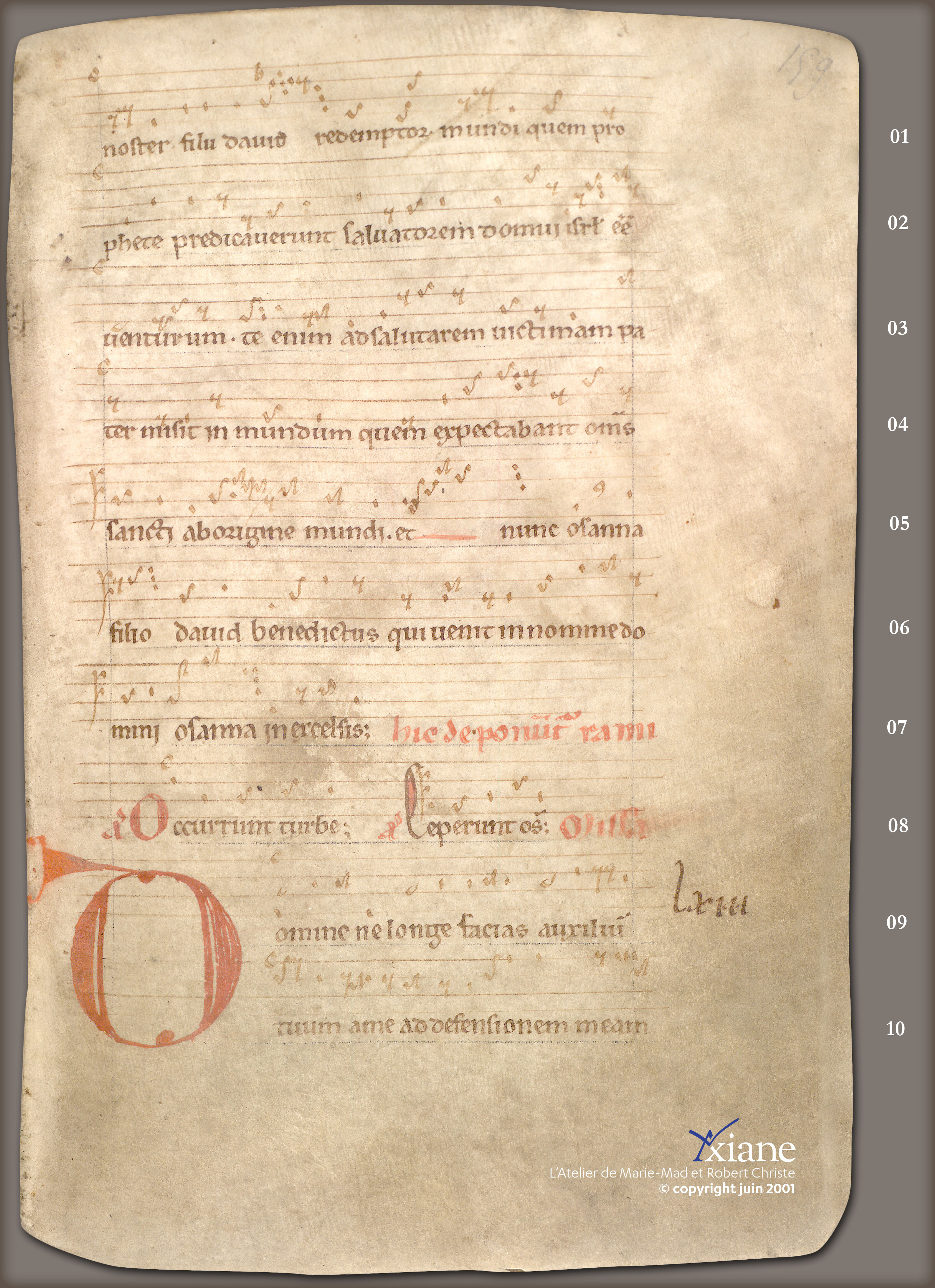 ... Procession et  Messe des Rameaux