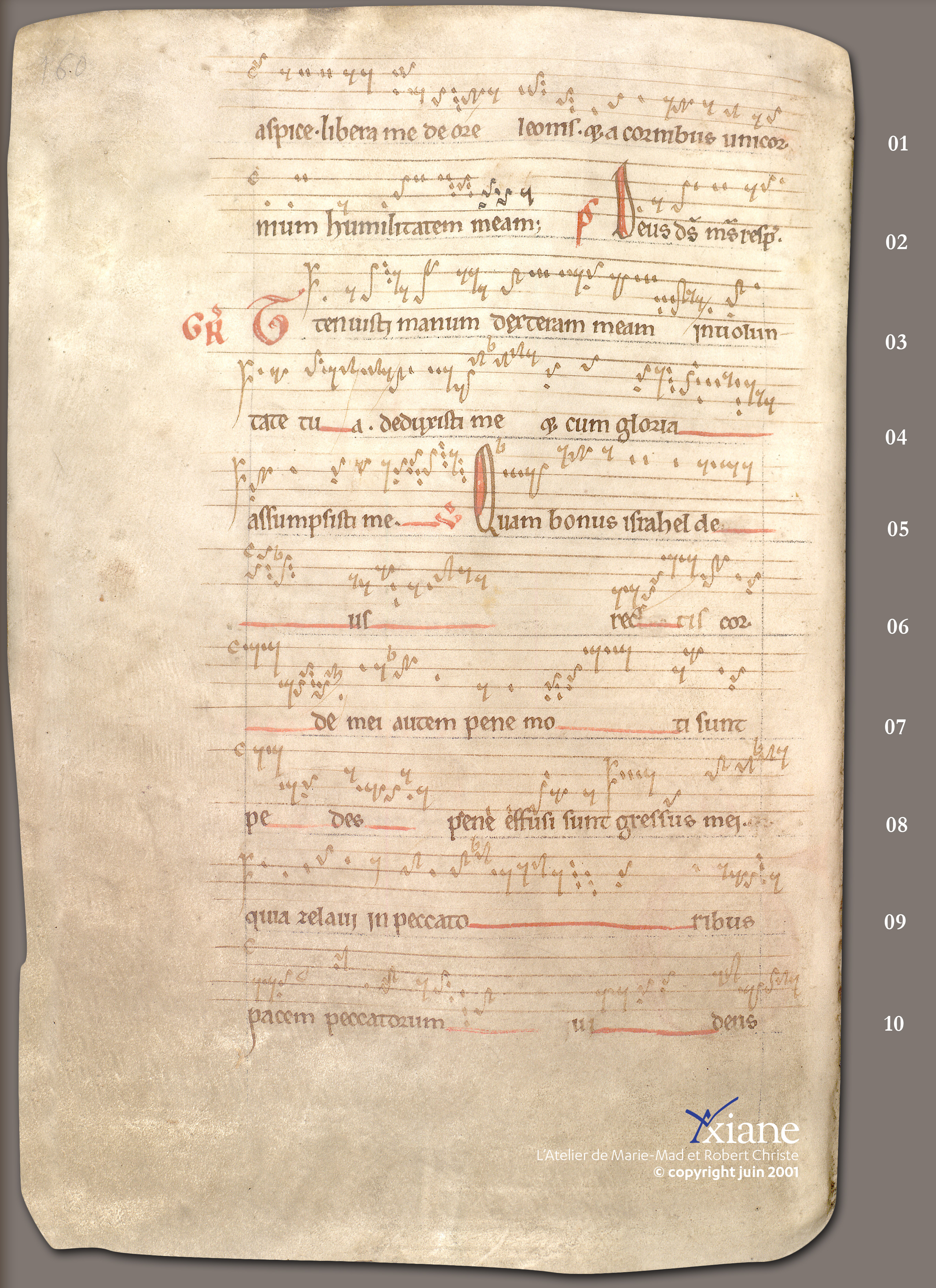 ... Messe des Rameaux ...