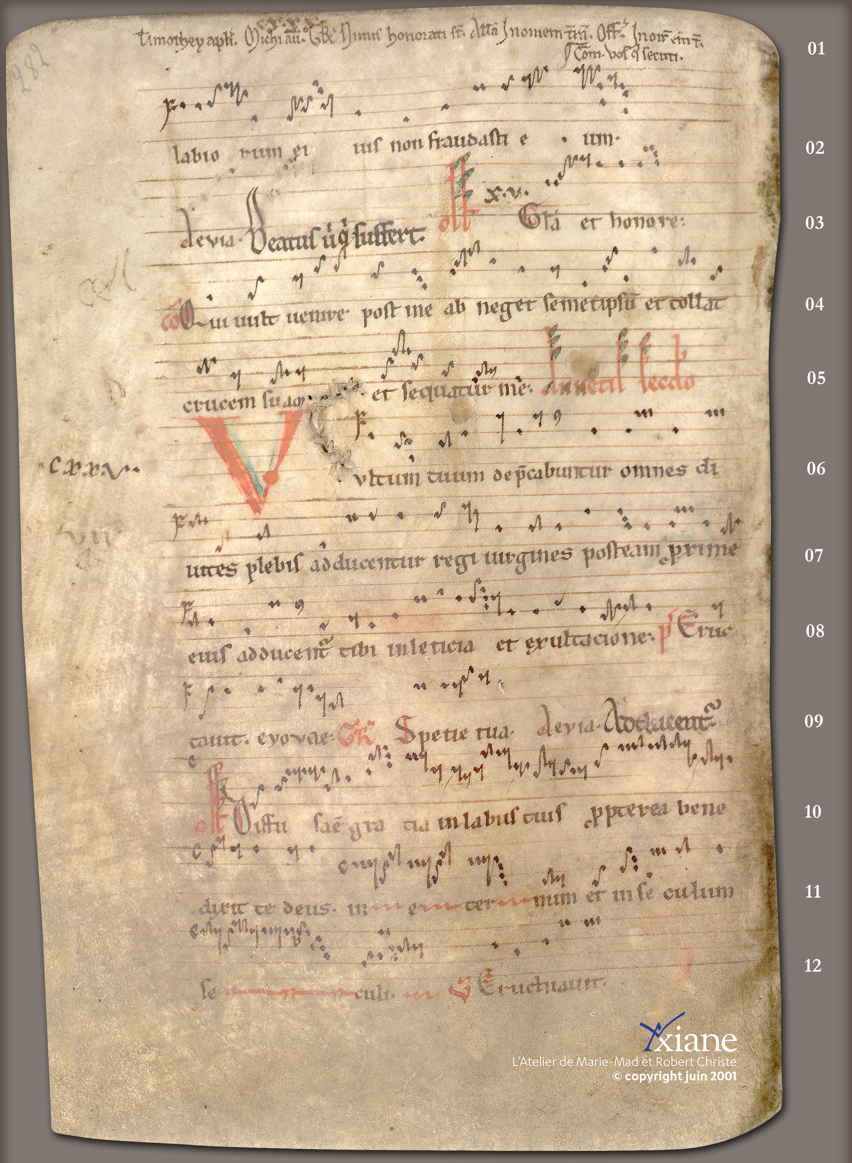 ... Saint Vincent, Saint Timothée (24 janvier), Sainte Agnès secundo (28 janvier) ...